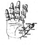 Figura5